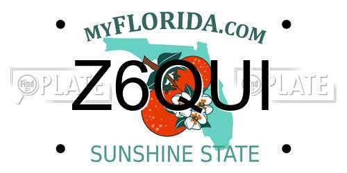 Z6QUI Florida License Plate