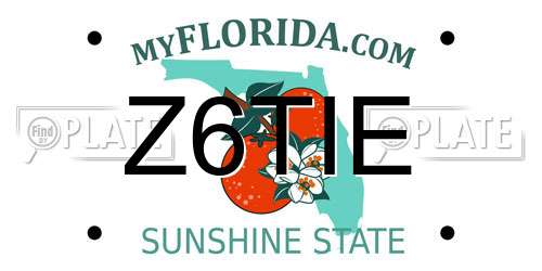 Z6TIE Florida License Plate