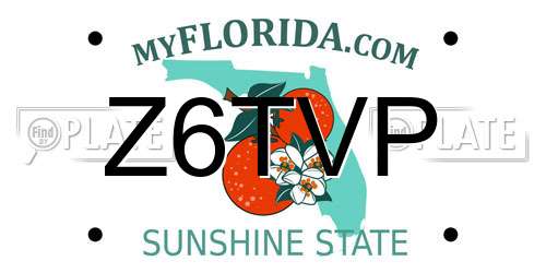 Z6TVP Florida License Plate