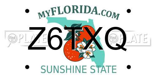 Z6TXQ Florida License Plate