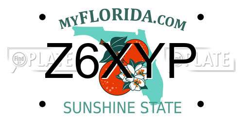 Z6XYP Florida License Plate