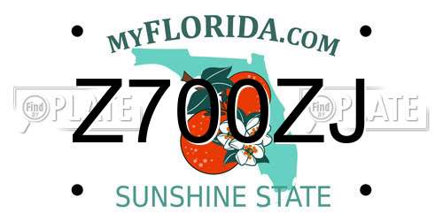 Z700ZJ Florida License Plate