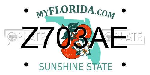 Z703AE Florida License Plate