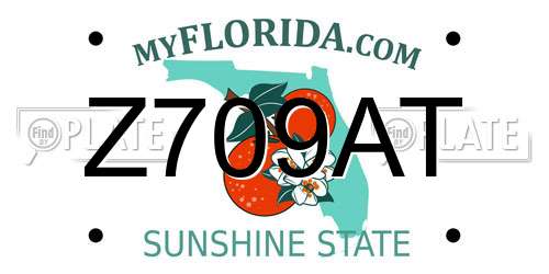 Z709AT Florida License Plate