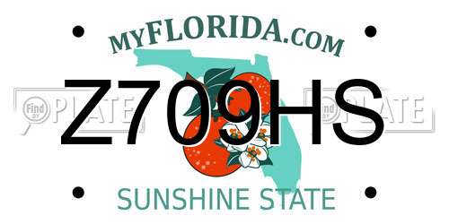 Z709HS Florida License Plate