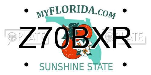 Z70BXR Florida License Plate