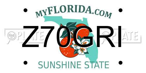 Z70GRI Florida License Plate