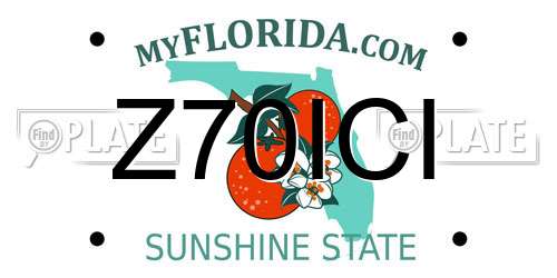 Z70ICI Florida License Plate
