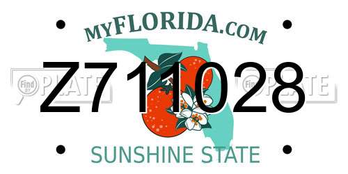 Z711028 Florida License Plate