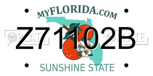 Z71102B Florida License Plate