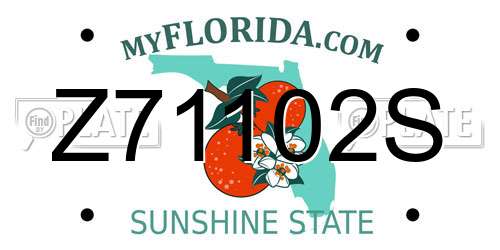 Z71102S Florida License Plate