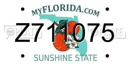 Z711075 Florida License Plate