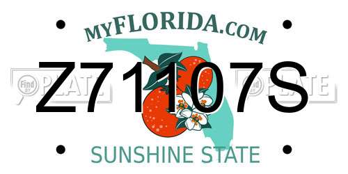 Z71107S Florida License Plate