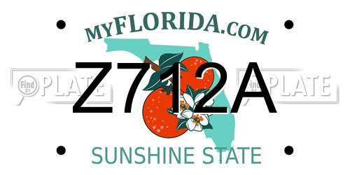 Z712A Florida License Plate