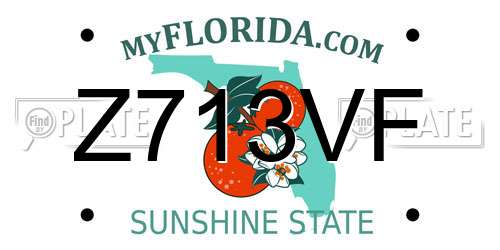 Z713VF Florida License Plate