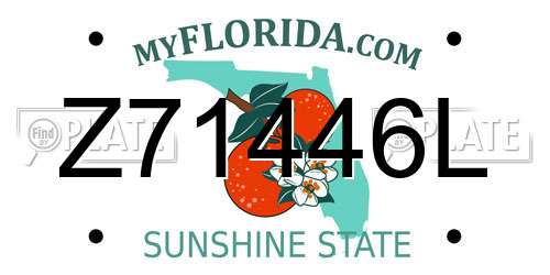 Z71446L Florida License Plate