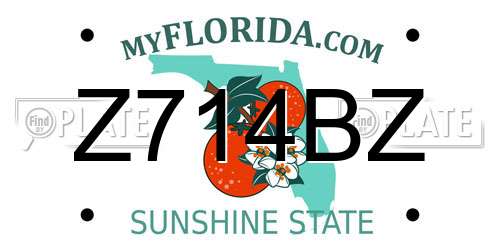 Z714BZ Florida License Plate