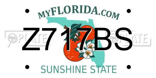 Z717BS Florida License Plate