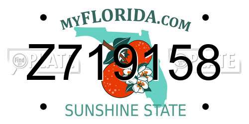 Z719158 Florida License Plate