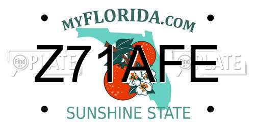 Z71AFE Florida License Plate