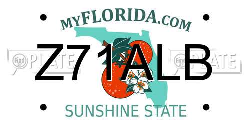 Z71ALB Florida License Plate