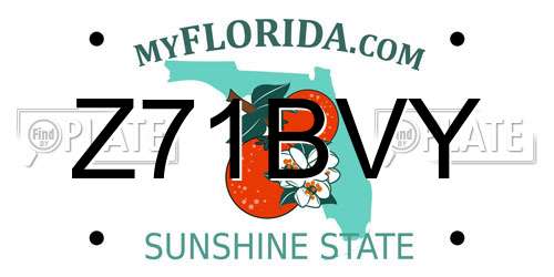 Z71BVY Florida License Plate