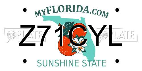 Z71CYL Florida License Plate