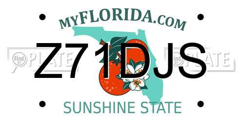 Z71DJS Florida License Plate