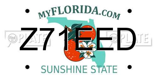 Z71EED Florida License Plate