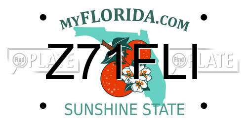 Z71FLI Florida License Plate