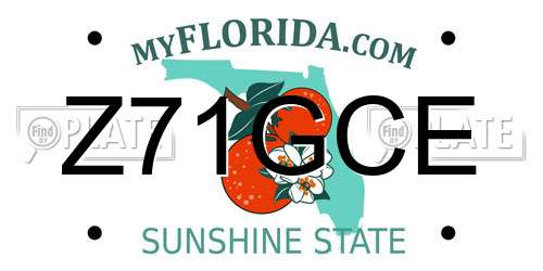 Z71GCE Florida License Plate