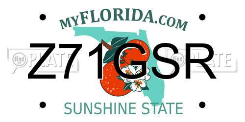 Z71GSR Florida License Plate