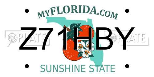 Z71HBY Florida License Plate