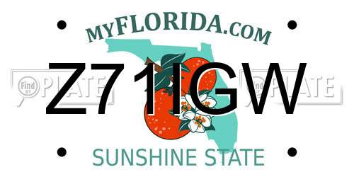 Z71IGW Florida License Plate