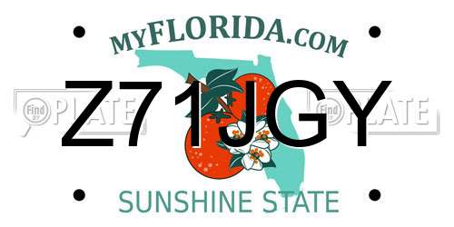 Z71JGY Florida License Plate