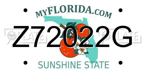 Z72022G Florida License Plate