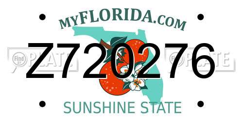 Z720276 Florida License Plate