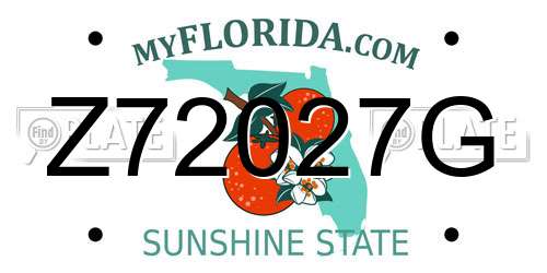 Z72027G Florida License Plate