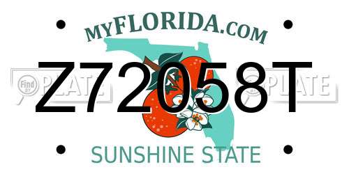 Z72058T Florida License Plate