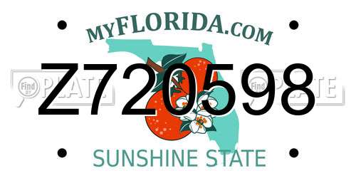 Z720598 Florida License Plate