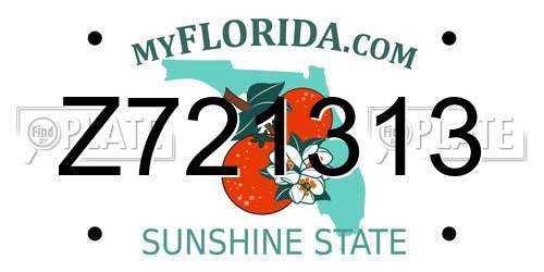 Z721313 Florida License Plate