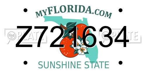 Z721634 Florida License Plate
