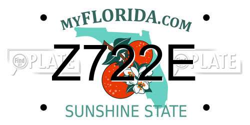 Z722E Florida License Plate