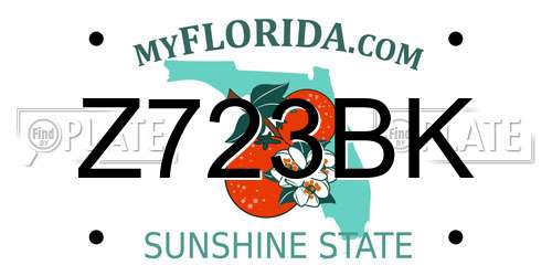 Z723BK Florida License Plate