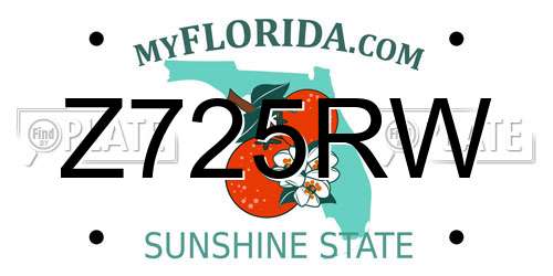 Z725RW Florida License Plate