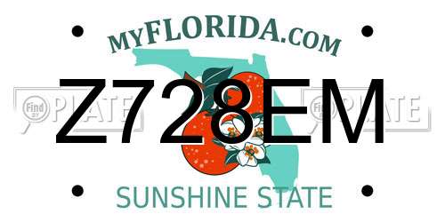 Z728EM Florida License Plate