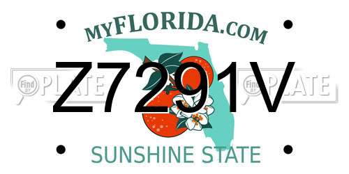 Z7291V Florida License Plate