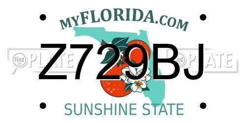 Z729BJ Florida License Plate