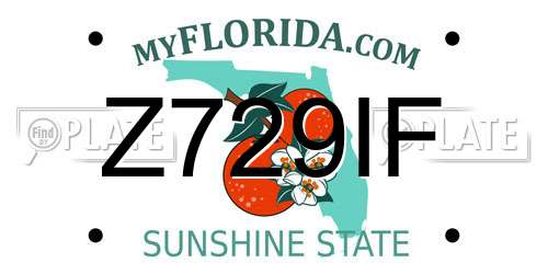 Z729IF Florida License Plate