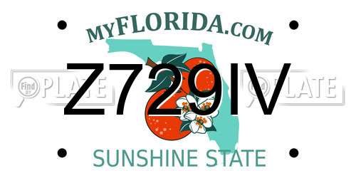 Z729IV Florida License Plate